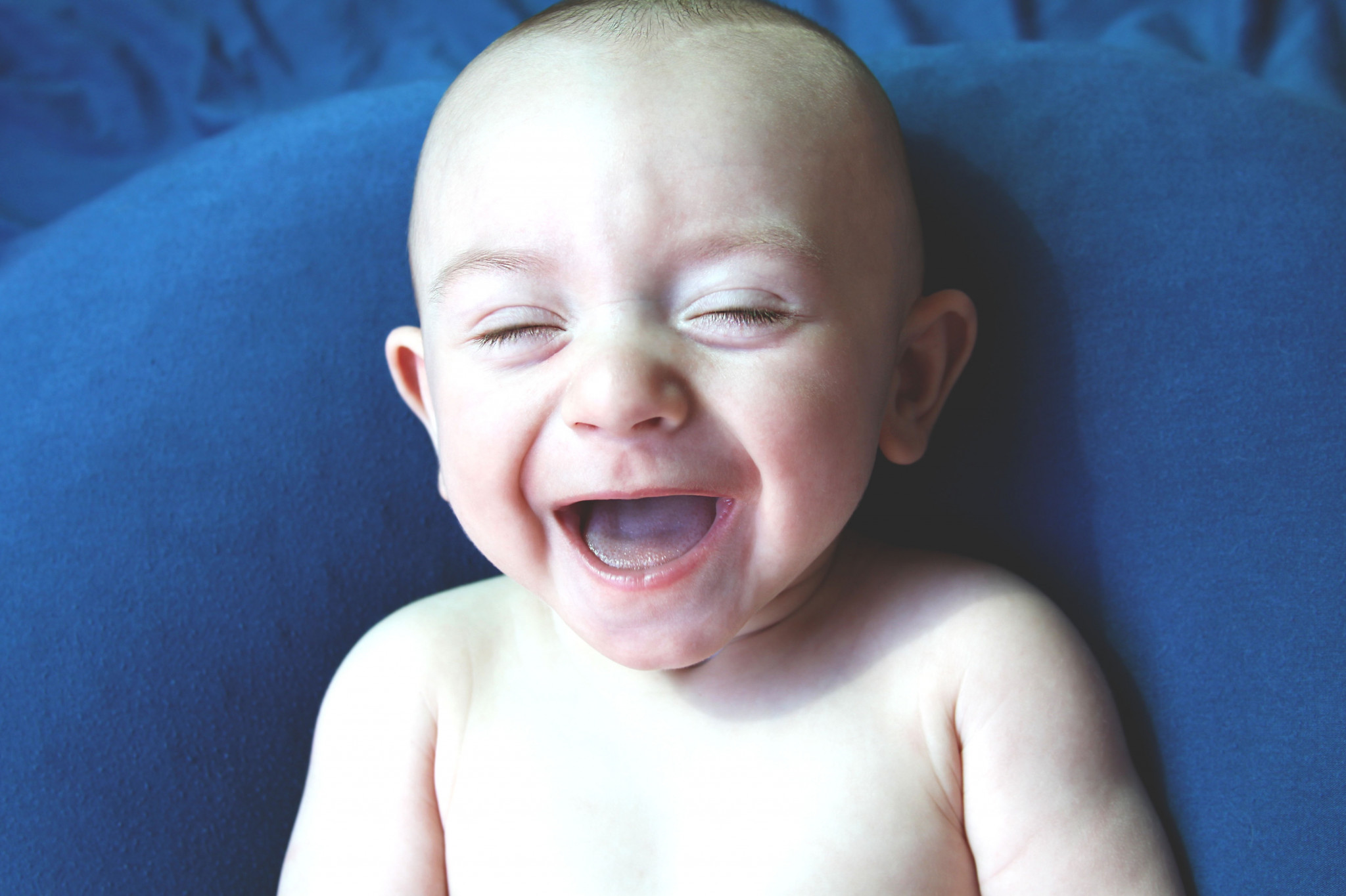 atlas-knox-sims-baby-of-the-year