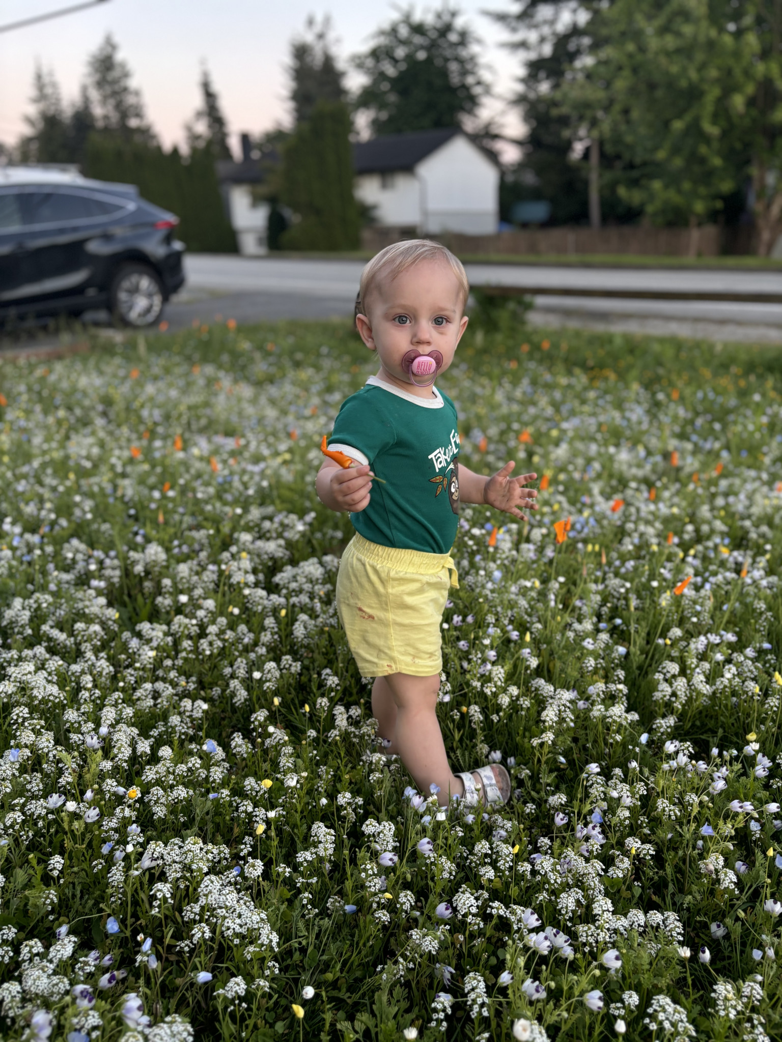 Adeline Baby of the Year