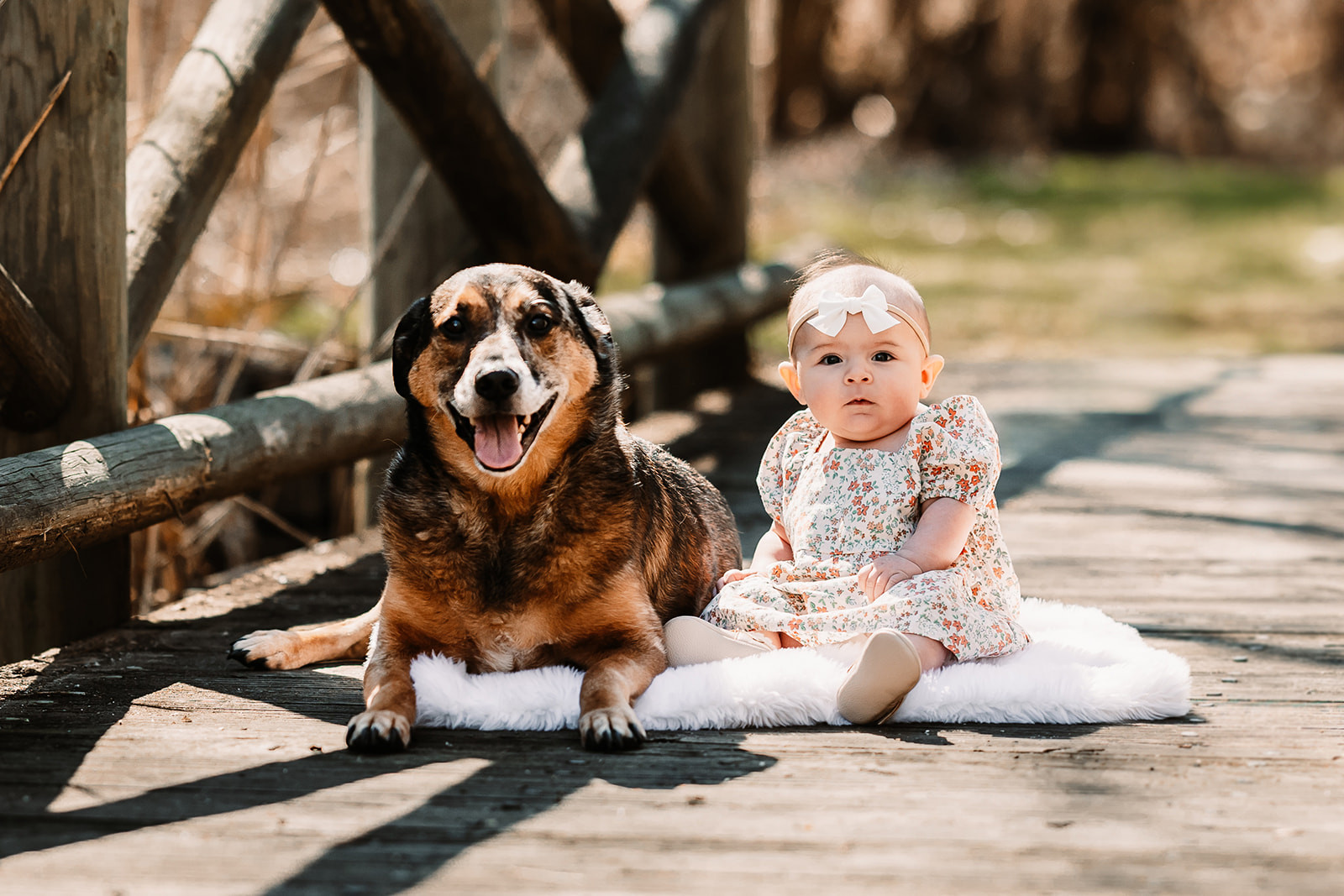 Lola Baby of the Year